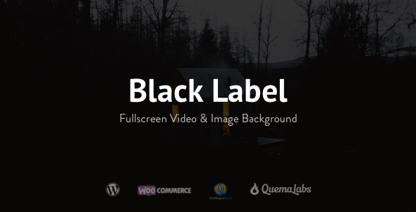  Black Label full screen video picture website WordPress theme