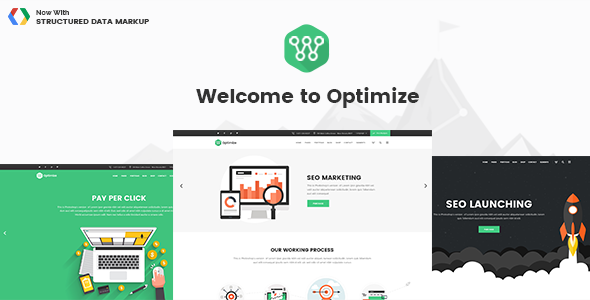  Optimize - SEO & Social Media Theme