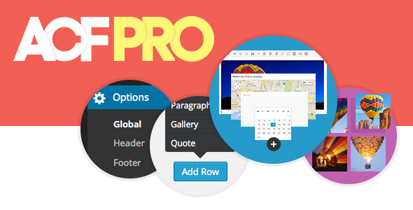  Advanced Custom Fields Pro - Advanced Custom Fields Professional WordPress Plug in