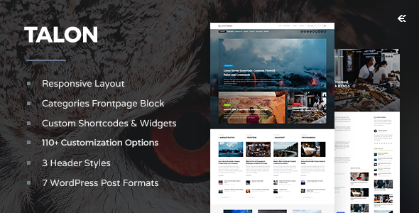 Talon v2.2.2 - Responsive WordPress Theme