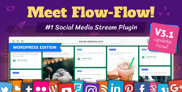  Flow-Flow - WordPress Social Stream Plugin