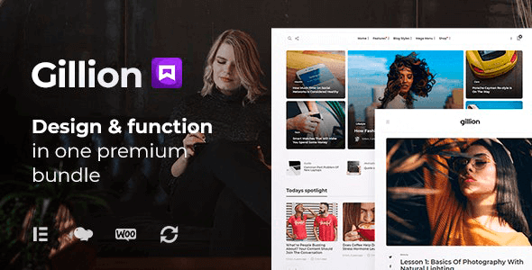  Gillion - Multi concept blog magazine news website WordPress theme