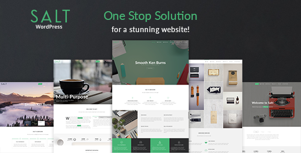 Salt v1.2.8 - 响应式多用途WordPress主题