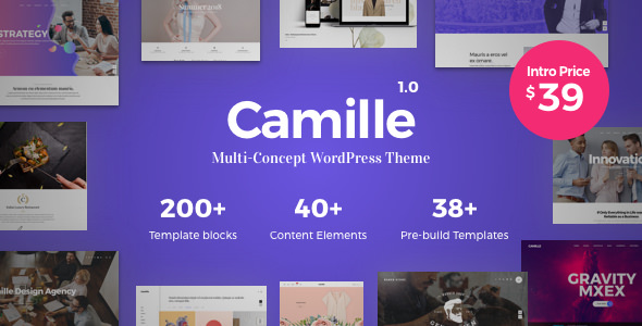 Camille - Multi-Concept WordPress Theme