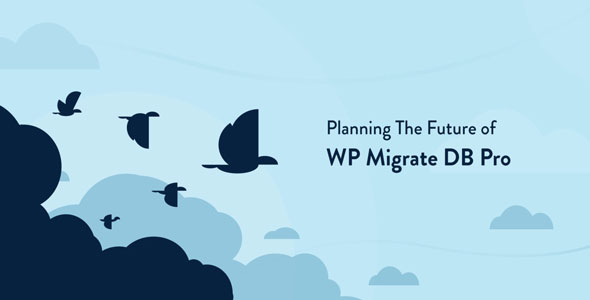  WP Migrate DB Pro