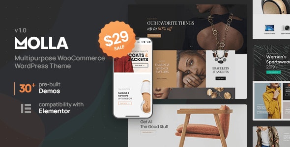  Molla - Multi industry shopping store website template WooCommerce theme