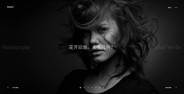  High end cool photography exhibition website DedeCMS whole site template