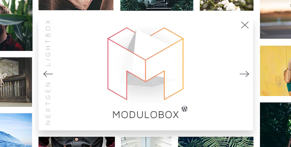 ModuloBox - NextGen Lightbox Plugin for WordPress