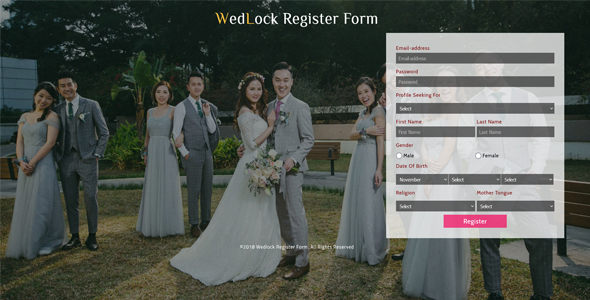  Marriage Registration Form Responsive Widget Template