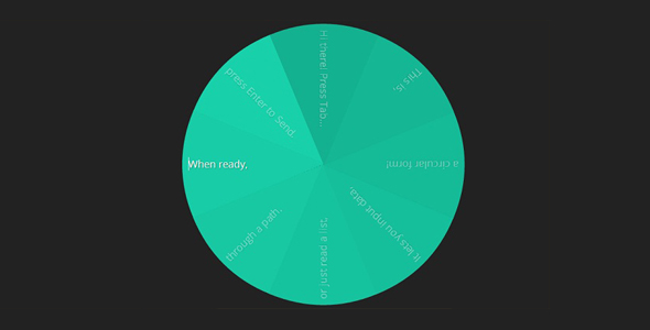  Turn around to switch form focus CSS3 ring feature form