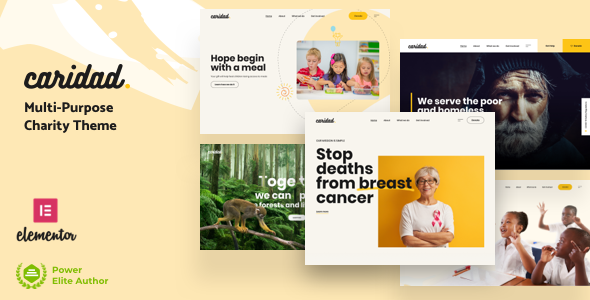 Caridad - Charity WordPress Theme