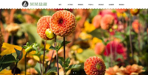  Responsive green plants and flowers potted plants PbootCMS website template