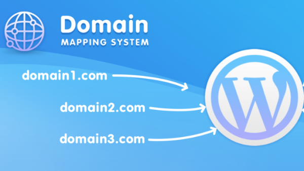 Domain Mapping System PRO - 微型网站系统自定义多域名插件